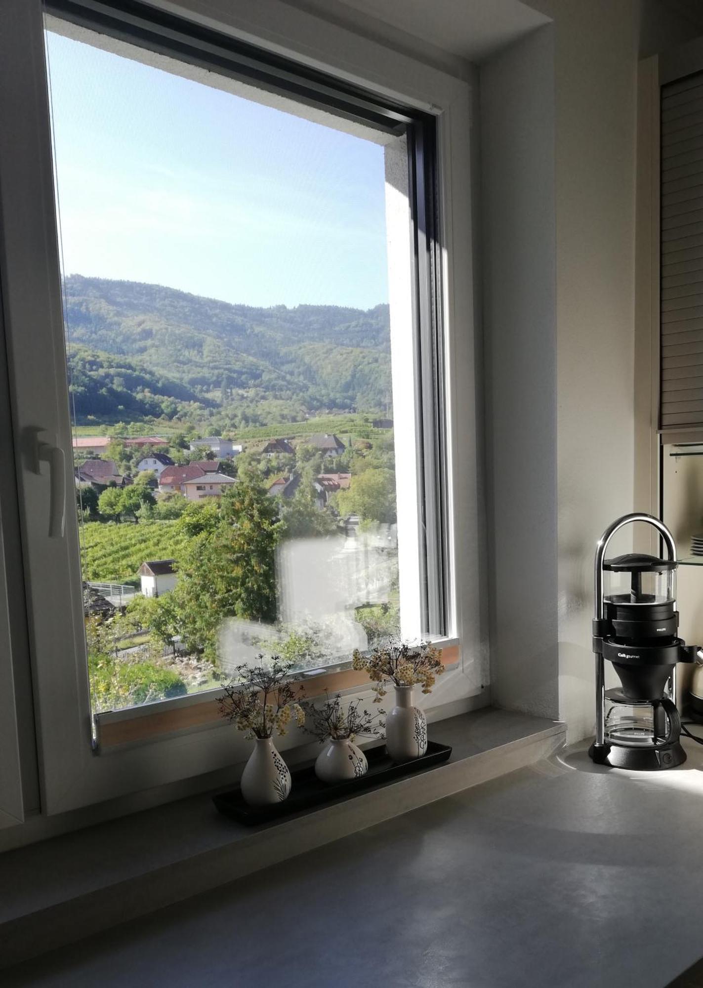 Ferienhaus Johanna Spitz an der Donau Exteriör bild